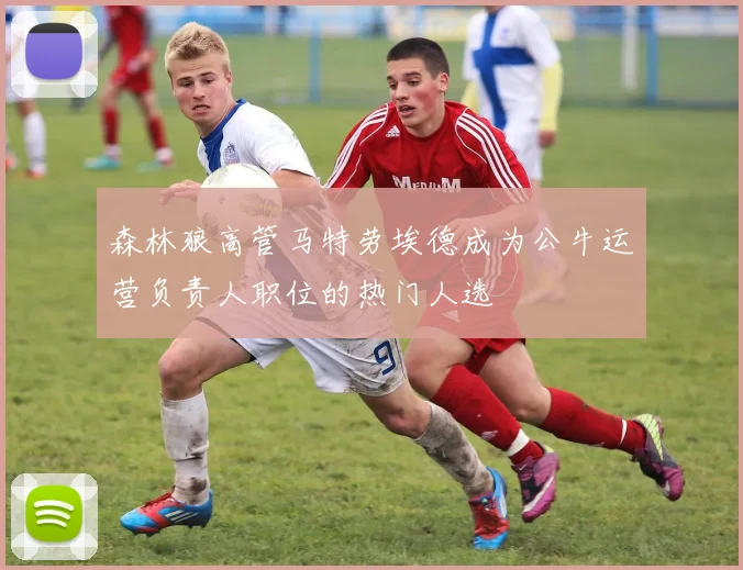 森林狼高管马特劳埃德成为公牛运营负责人职位的热门人选